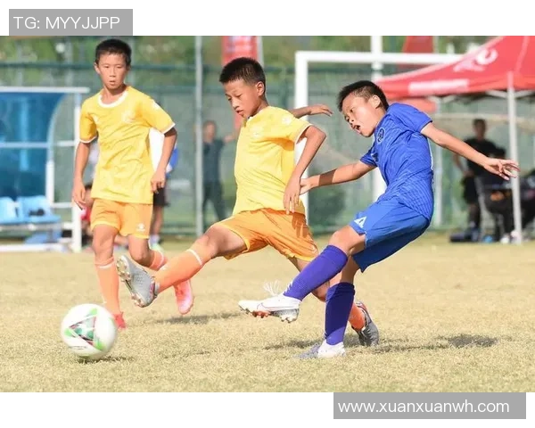 中国足球明星背后的故事与成就全揭秘，探索他们的成长与奋斗历程